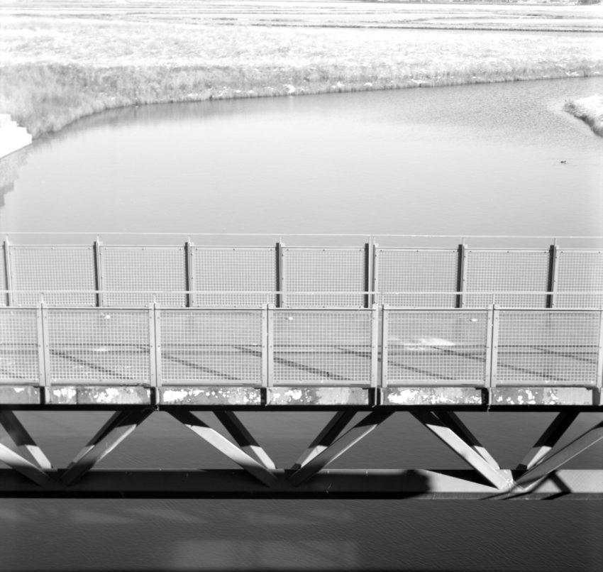 bridge at Ralph Klein Park