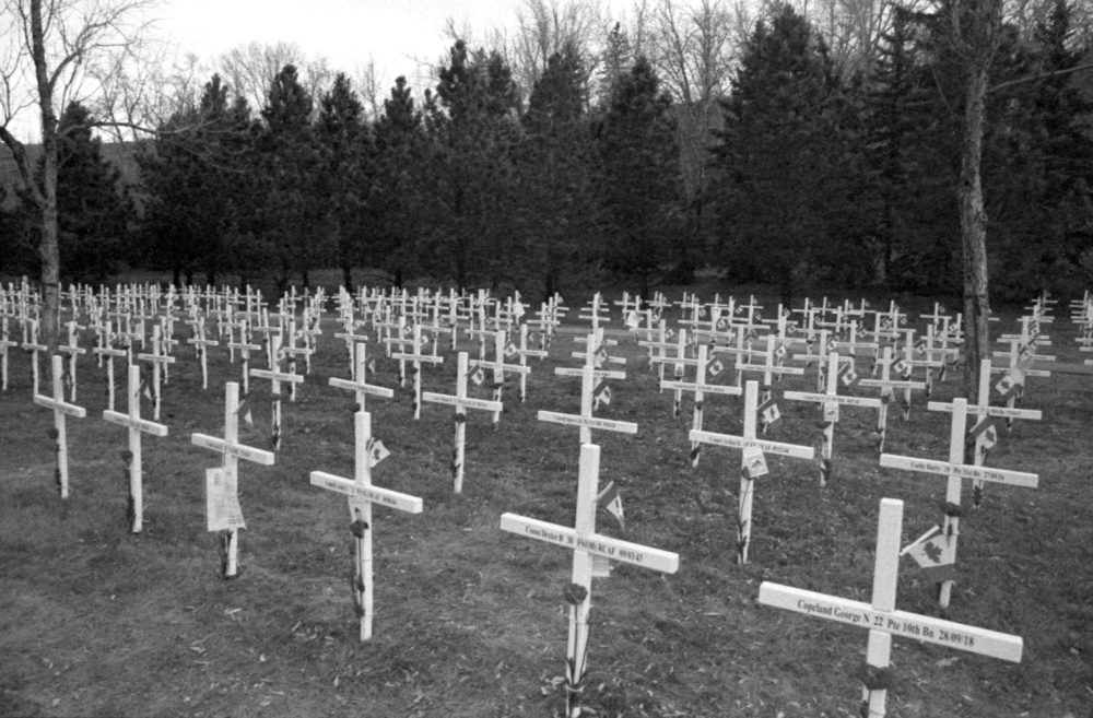 Field of Crosses