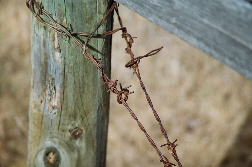 barbed wire up close