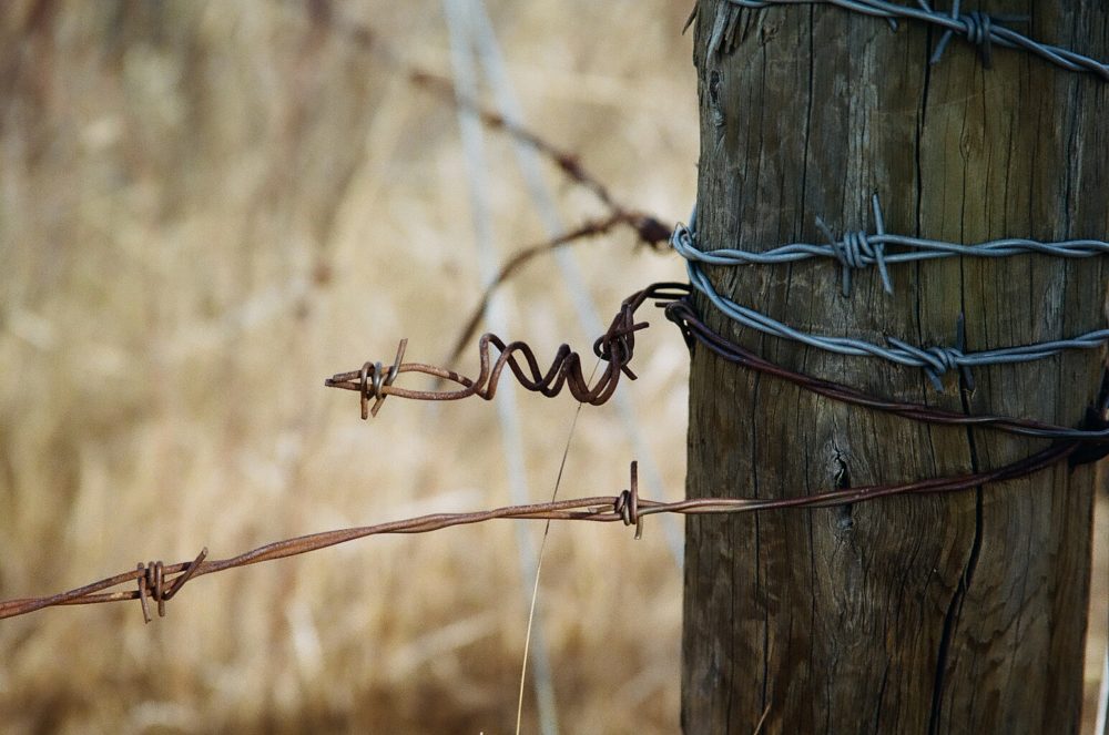 barbed wire up close
