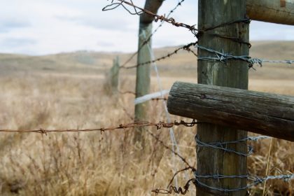 barbed wire on a fence