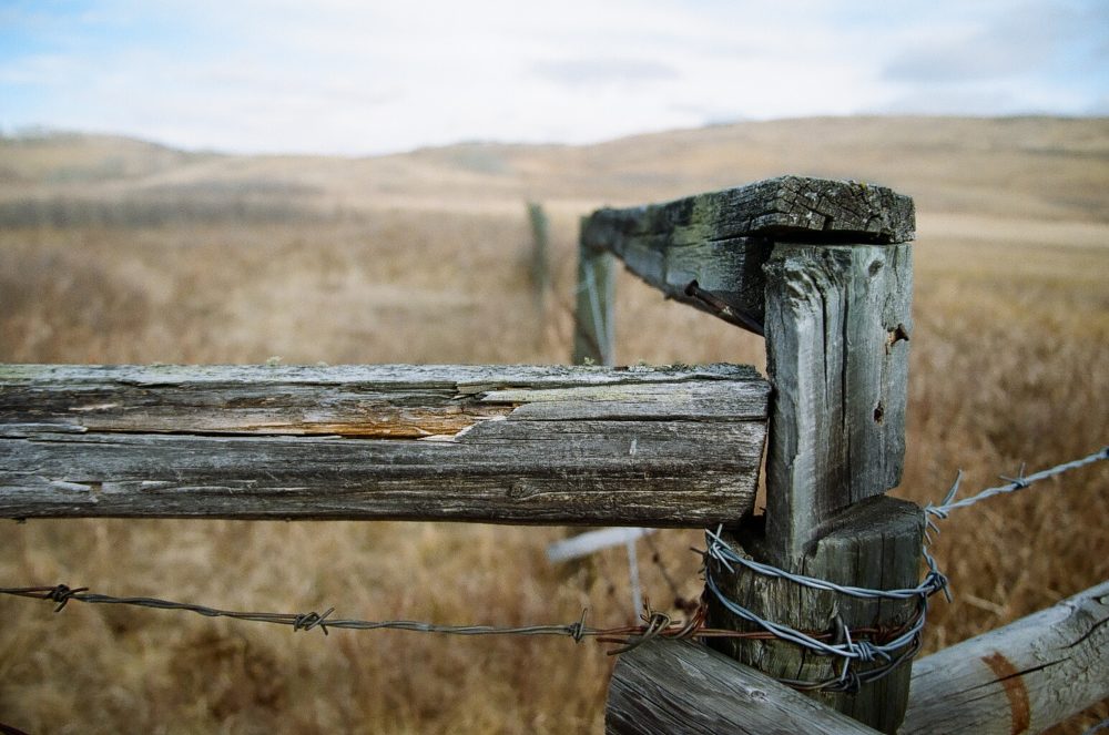 barbed wire on a fence