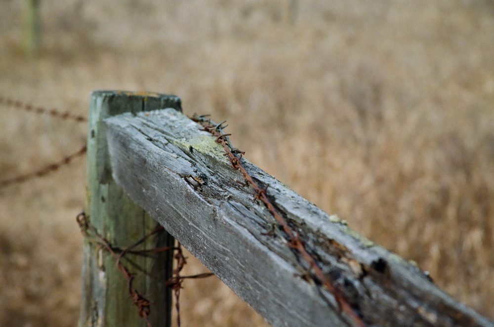 barbed wire on a fence