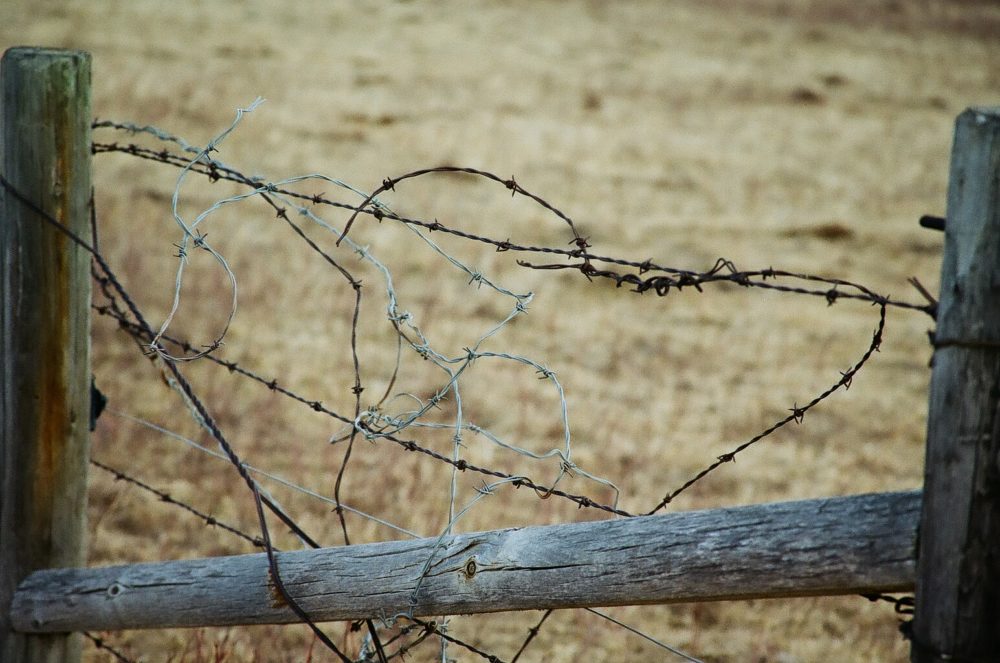 barbed wire on a fence