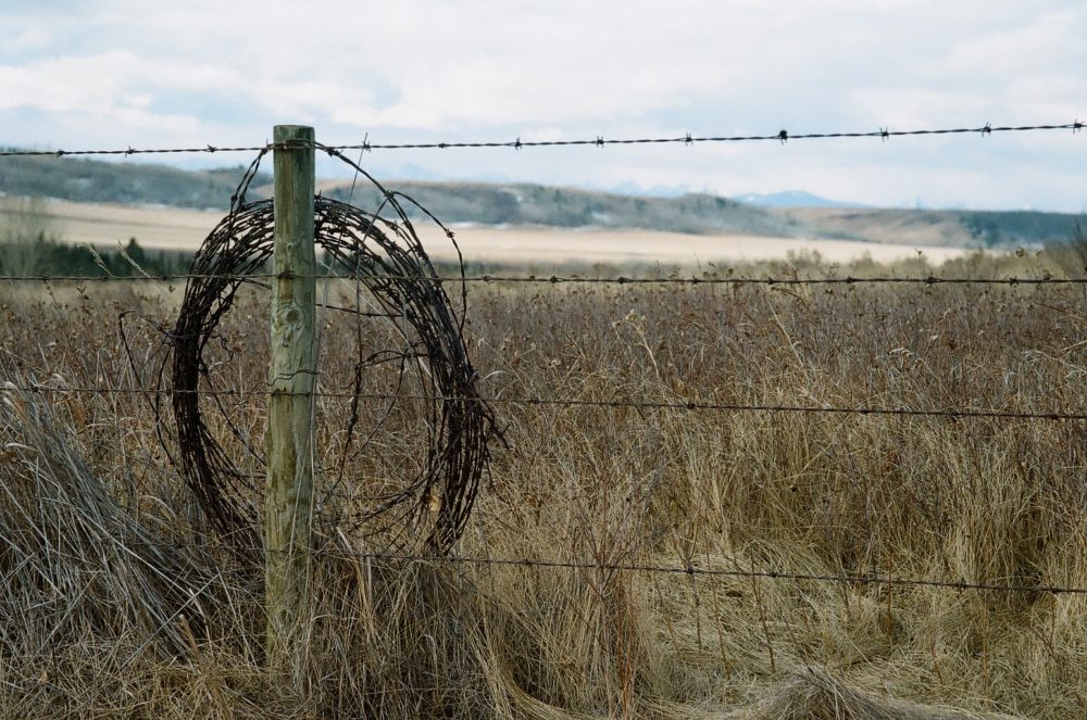 barbed wire coiled on a fence at Glenbow Ranch