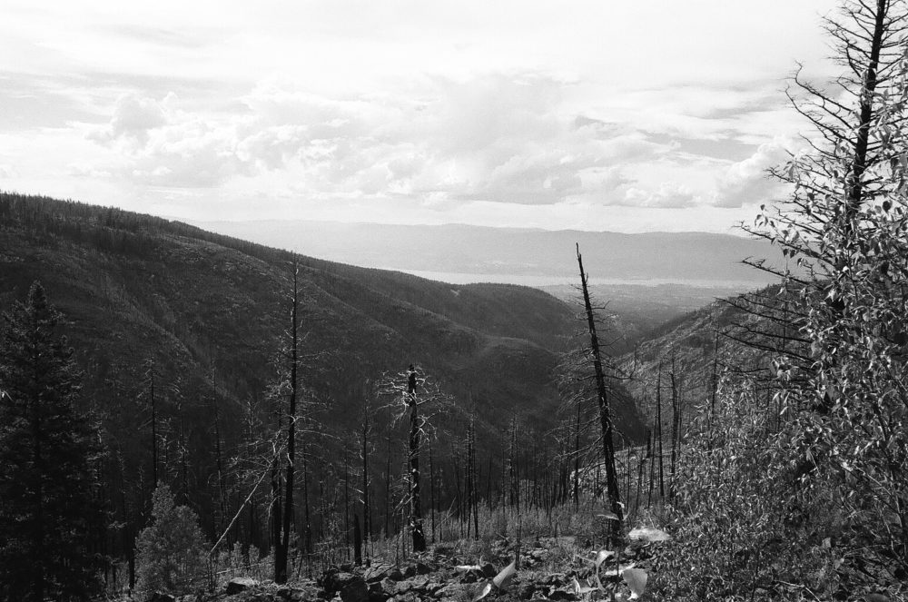 Myra Canyon