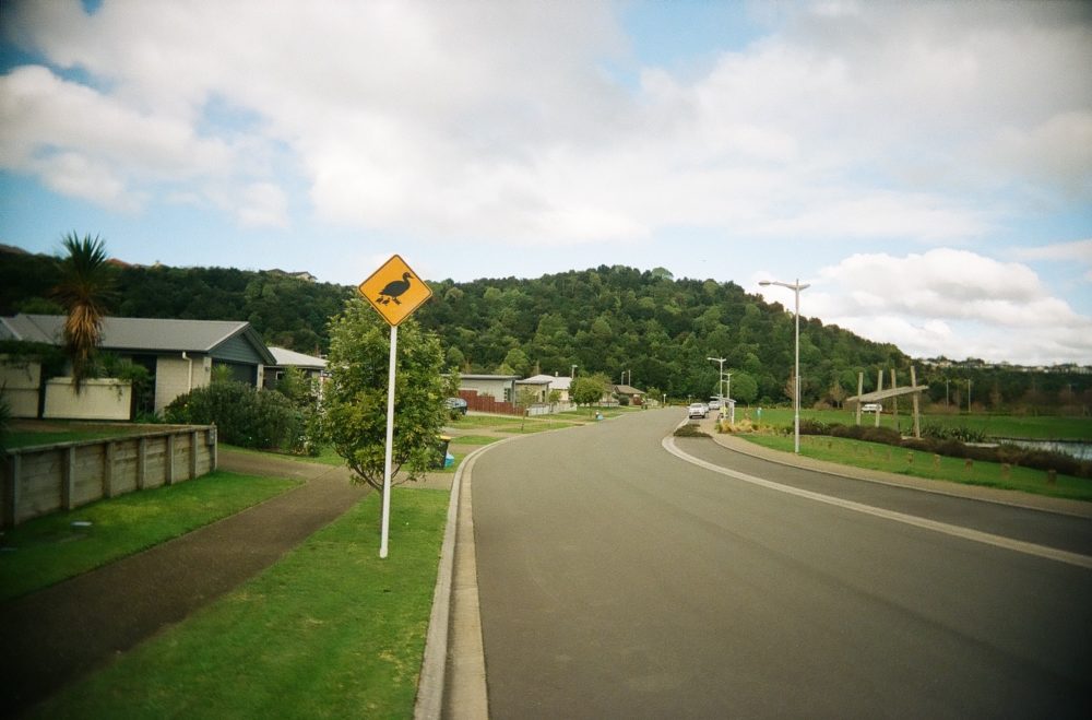 duck crossing sign