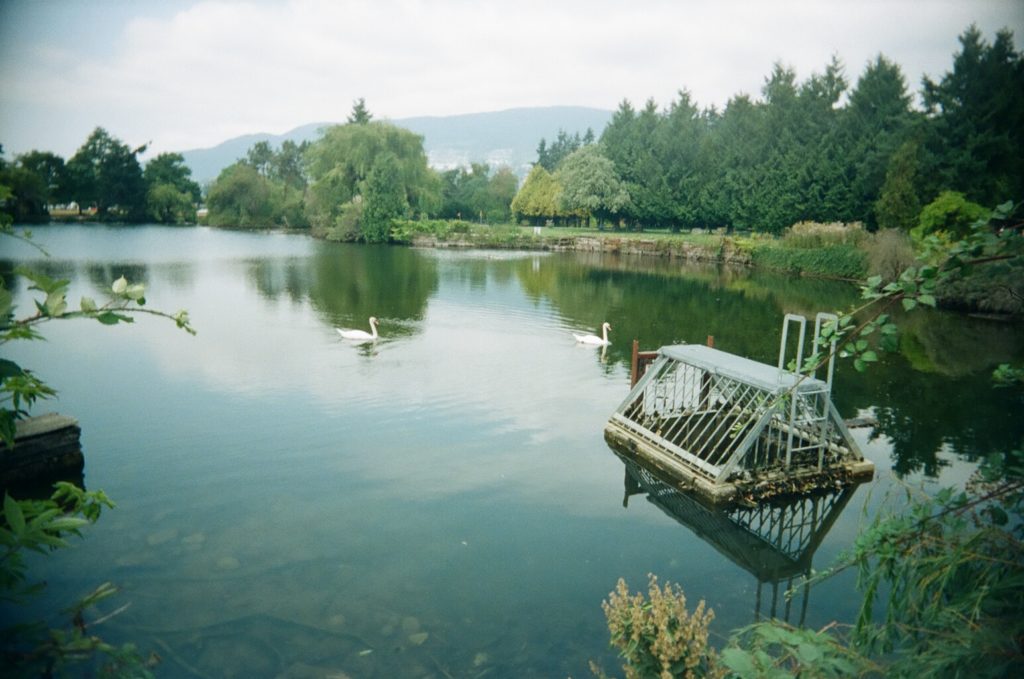 Ambleside, West Vancouver