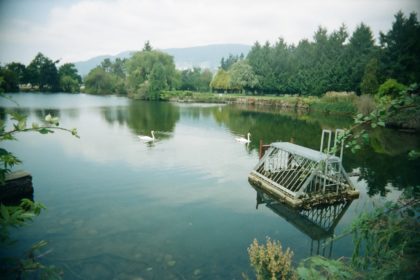 Ambleside, West Vancouver