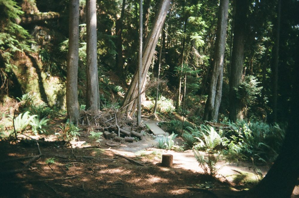 Lighthouse Park, West Vancouver