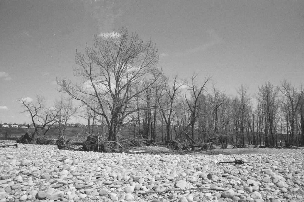 2013 Calgary flood detritus in Fish Creek Park