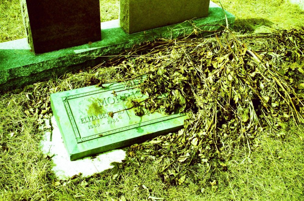 covered gravestone in Burnsland Cemetery