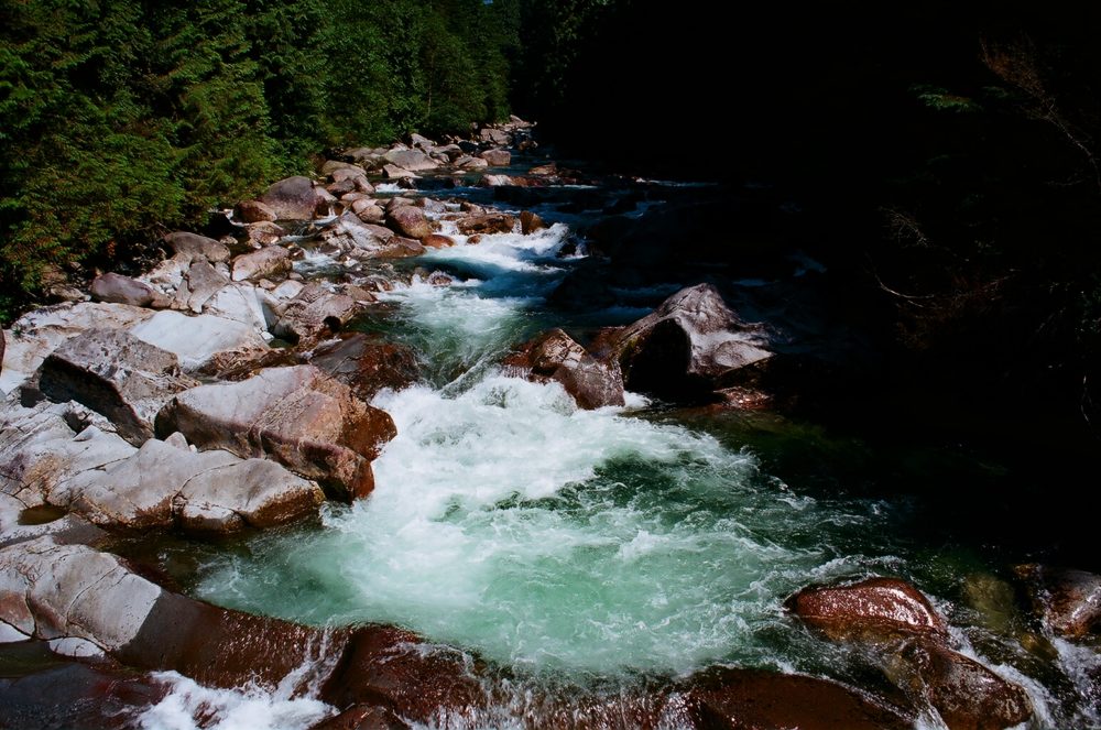 Widgeon Creek above the falls