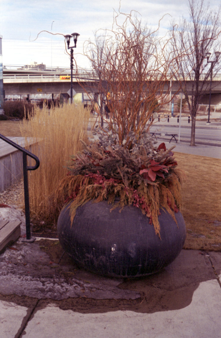 planter in the East Village