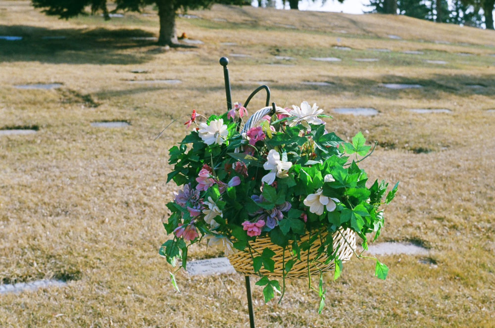 fake plant at Union Cemetery