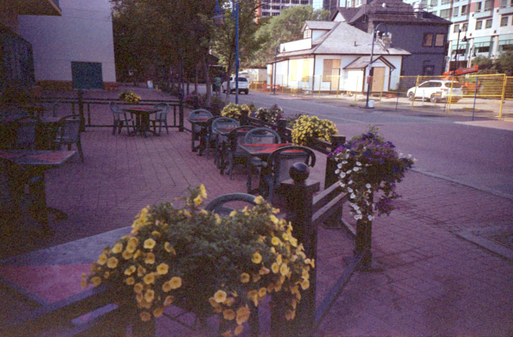 flowers outside Eau Claire