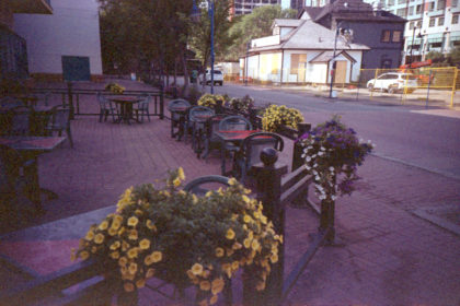 flowers outside Eau Claire