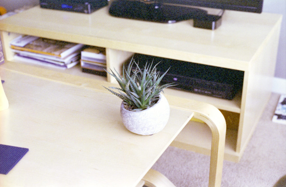 plant