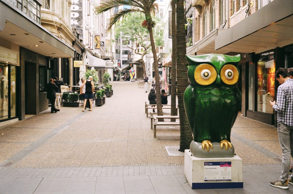 Ruru Kakotea, The Big Hoot, Auckland