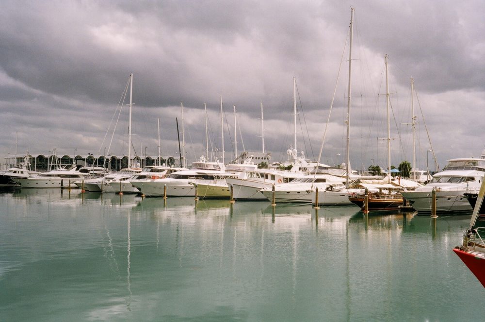 Sailboats moored in Auckland