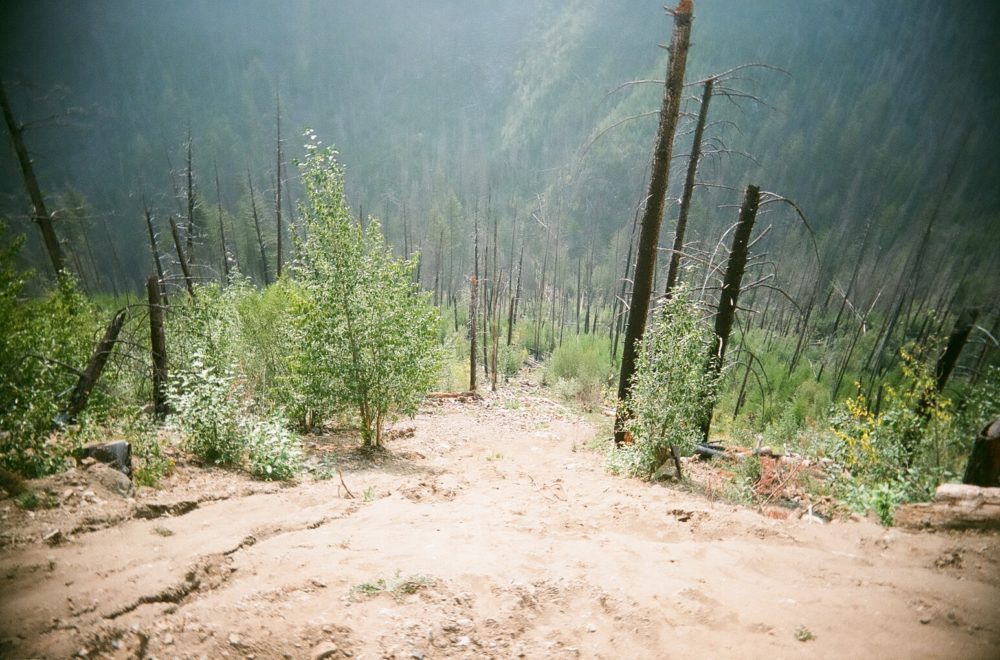 Myra Canyon