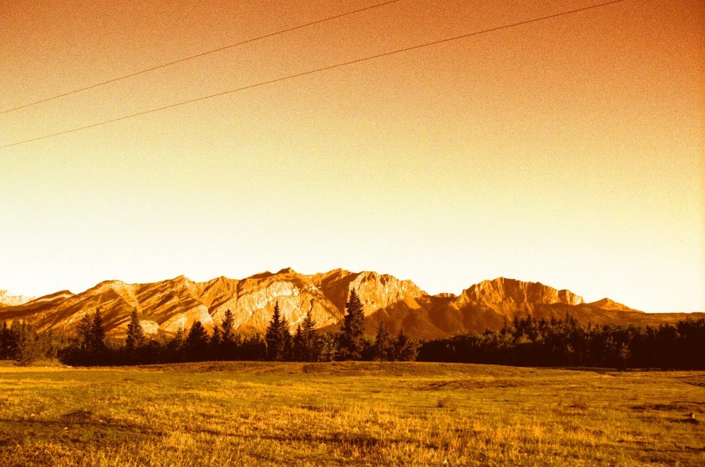 cross-processed Kodak Elite Chrome - reds