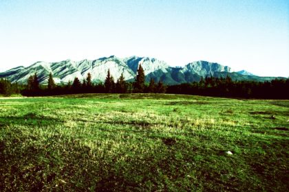 cross-processed Kodak Elite Chrome - blues & greens