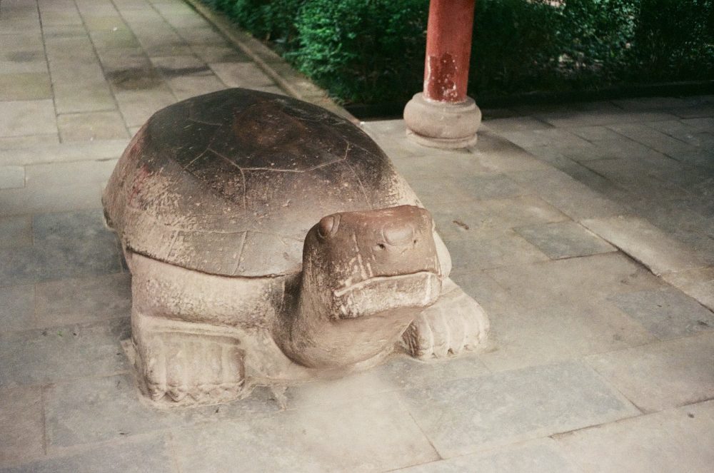 turtle sculpture, Chengdu monastery