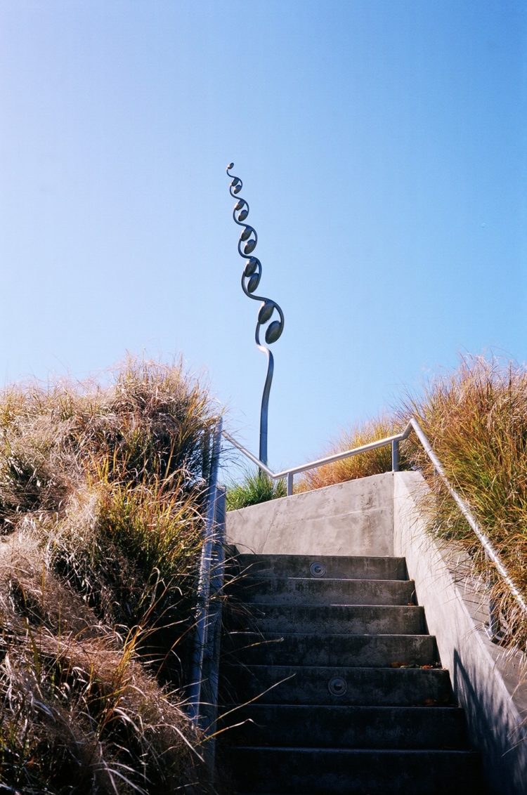 silver fern sculpture in Blenheim, NZ