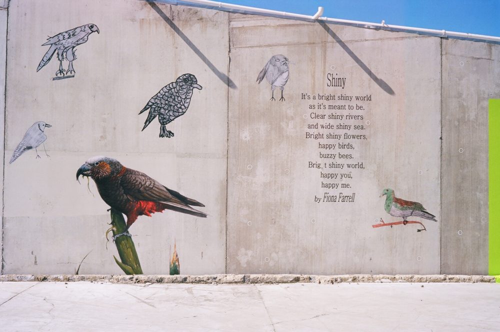 birds & poetry in Blenheim, NZ
