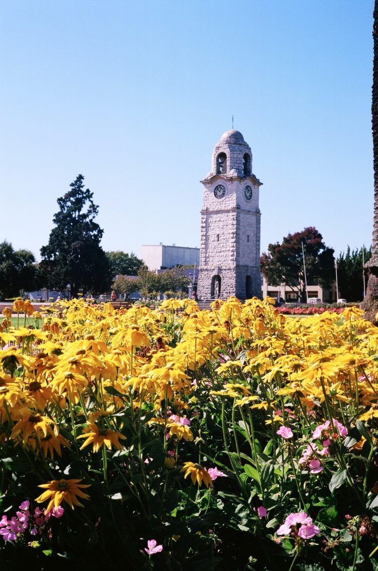 cenotaph Blenheim, NZ