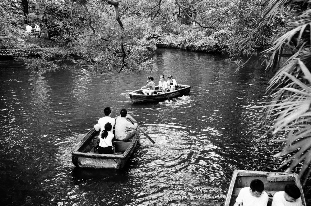 boating in People's Park, Chengdu