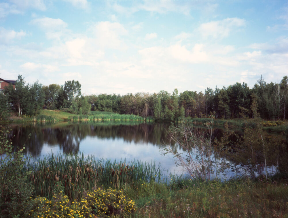 a pond