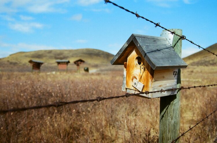 birdhouse at Glenbow Ranch Provincial Park