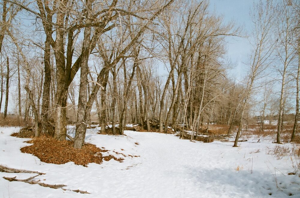 Fish Creek Park in winter