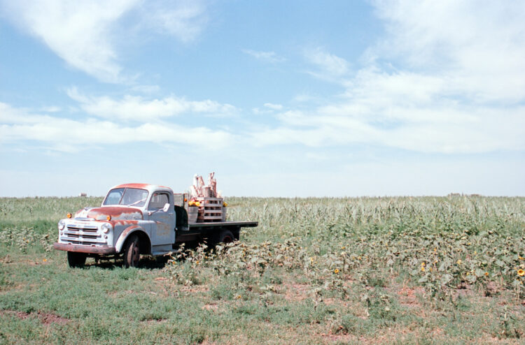 old pickup truck in a farmer's field