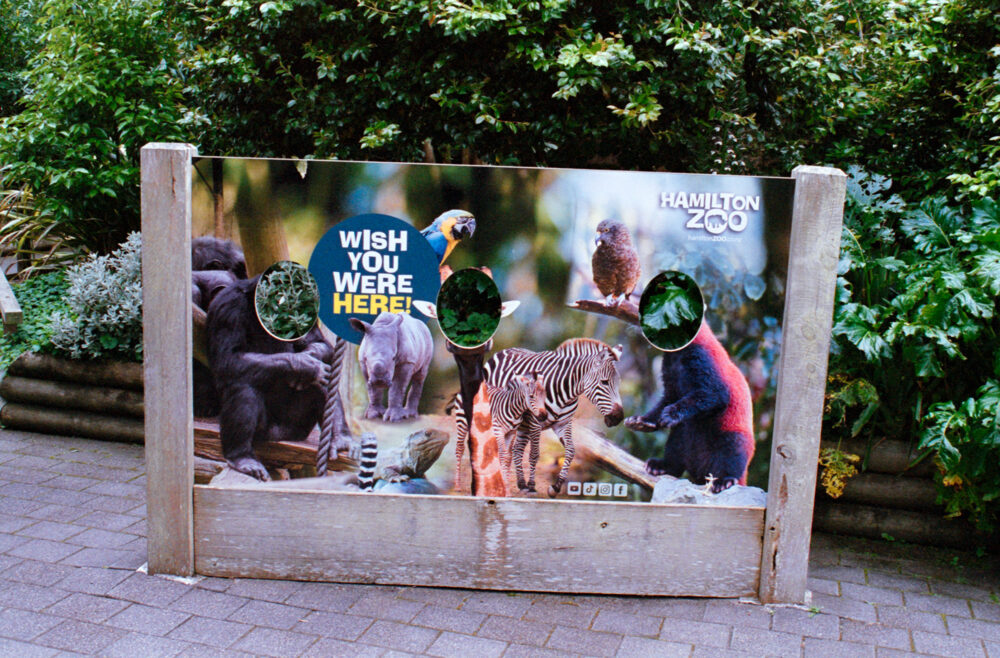 Hamilton Zoo: wish you were here